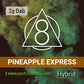 Pineapple Express - Dab (2g)